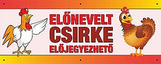 Előnevelt csirke az ország egyik legrégebbi tenyészetétől!