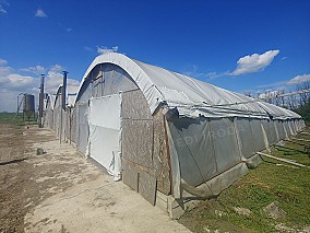 Pecsenyekacsa elő- és utónevelő telep eladó Szentes külterületén!