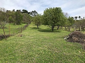 Vonyarcvashegyen Balatonra panorámás6 szobás  nyaraló eladó