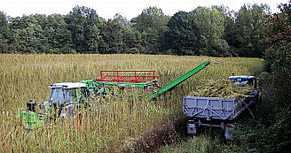 Eladó kender betakarító fej (Hemp harvester head)