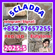 109555-87-5 5CLADBA Eutylone 802855-66-9  407-97-6