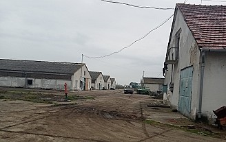 Telep kiadó