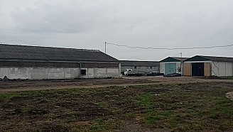 Telep kiadó