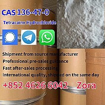 Supply Tetracaine HCl CAS 136-47-0 Tetracaine Hydrochloride Powder with Best Price to you