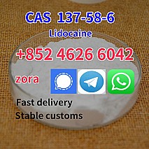 Chemical Raw Lidocaine CAS 137-58-6 White Crystal