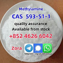 CAS 593-51-1 Methylamine hydrochloride LT-S9151 good price with high qualtiy