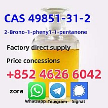 Manufacturer Supply Raw Material CAS 49851-31-2 2-Bromo-1-phenyl-1-pentanone