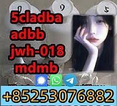 6cladba good price 5cladba fast shipping