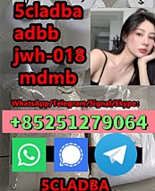 6CL-ADBB 2cl-adba 4f-adb 5CL-a-dbb 5f-mdma strong powder