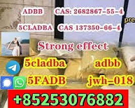 high purity powder 5cladbb 6cladba low price fast shipping