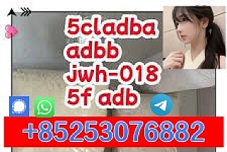 high purity powder 5cladbb 6cladba low price fast shipping