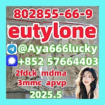 eutylone 3mmc mdma 2fdck apvp 802855-66-9