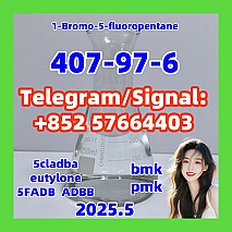 407-97-6  1-Bromo-5-fluoropentane protonitazene alprazolam 5cladba eutylone 5fadb