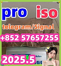 119276-01-6 protonitazene 14188-81-9  2732926-24-6  iso