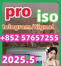 119276-01-6 protonitazene 14188-81-9  2732926-24-6  iso