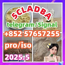 109555-87-5 5CLADBA Eutylone 802855-66-9   407-97-6