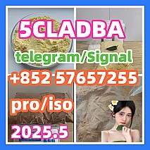 109555-87-5 5CLADBA Eutylone 802855-66-9   407-97-6