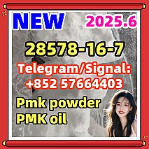 PMK New Pmk powder 28578-16-7 ethyl glycidate 2503-44-8 eutylone 2fdck 802855-66-9