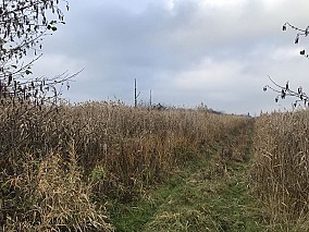 Kis-Balaton mellett 9,7 hektáros külterület eladó