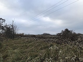 Kis-Balaton mellett 9,7 hektáros külterület eladó