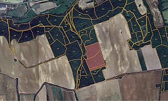 Eladó erdő Tabon