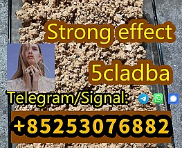 BEST POWDER adbb 4cladba 5cladba euty sgt151 jwh appp