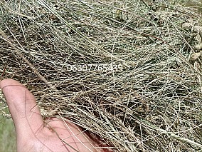 Prémium minőségű, bio minősítésű széna eladó