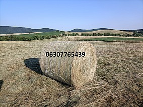 Prémium minőségű, bio minősítésű széna eladó