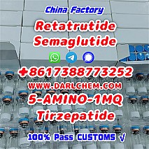 Semaglutide 5-AMINO-1MQ Retatrutide 910463-68-2  Hot Sale