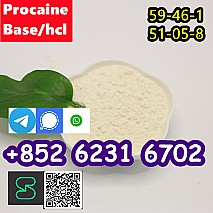 hot sale Procaine base CAS 59-46-1 /51-05-8 / procaine hcl and base in spot stock