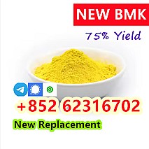 High quality 99% CAS 5449-12-7 BMK Glycidic Acid Sodium Salt Powder