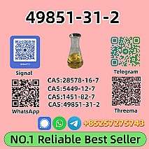 49851-31-2 Trusted Worldwide Supplier
