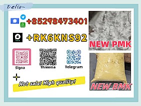 Reliable supply source BMP&PMK 5449-12-7 & 28578-16-7