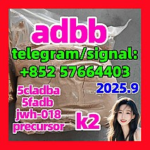 5cladba precursor adbb powder 5fadb raw material supply