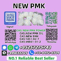 Hot Selling New P.M.K P.ower 28578-16-7 High Quality