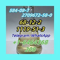 1119-51-3.1