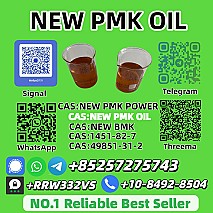 Top-Selling New P.M.K Oil 28578-16-7 Wholesale & Bulk Supply