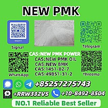High Purity P.M.K P.owder 28578-16-7 Competitive Price Supply