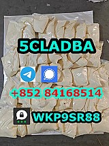 5cladba adbb Precursor JWH-018 5CLADB CBD Raw Materials 5f-adb