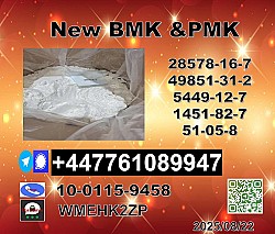 New P.M.K cas 28578-16-7 and B.M.K Powder cas 5449-12-7 99.9 percent P