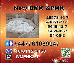 New P.M.K cas 28578-16-7 and B.M.K Powder cas 5449-12-7 99.9 percent P