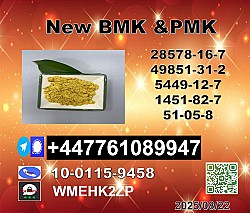 BMK 5449-12-7,20320-59-6 & PMK Glycidate 28578-16-7  best seller