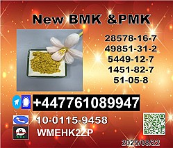 BMK 5449-12-7,20320-59-6 & PMK Glycidate 28578-16-7  best seller