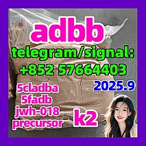 5CLADBA Raw material 5cl precursor 5cl precursor powder 5cladba 137350-66-4 5f-adb adbb