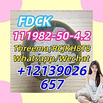 111982-50-4.2FDCK