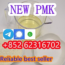 Dutch hot seller new pmk powder with high purity low price in stock