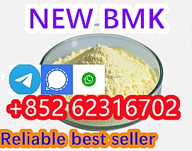 Buy New B.M.K 5449-12-7 P.M.K 2857 Direct from Manufacturer | No Customs Hassles