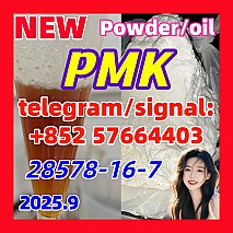 New PMK 28578-16-7 Powder oil Ethyl Glycidate 1451-82-7 51-05-8