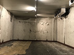 Zalaegerszegen 1.453 m2-es csarnok épület-hűtőház eladó