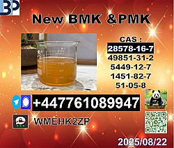 New P.M.K 28578-16-7 B.M.K Powder 5449-12-7 99.9 percent Pure